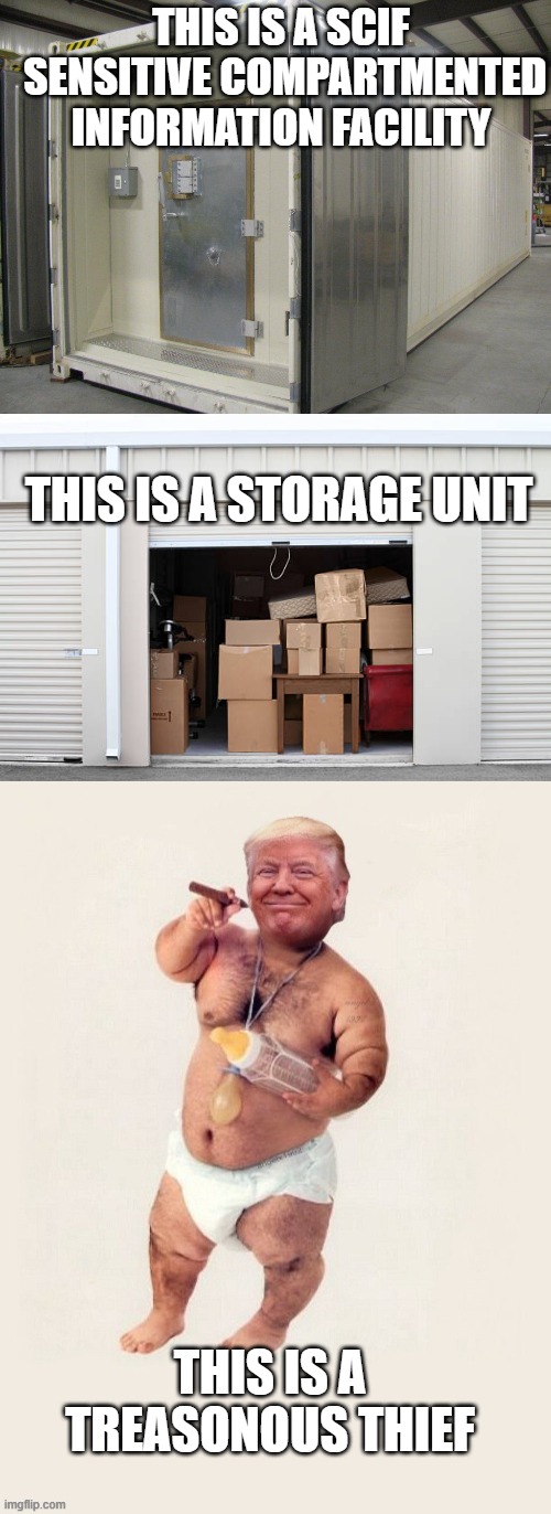 Whoever, being an officer, employee, contractor, or consultant of the United States, and, by virtue of his office, employment, p | THIS IS A SCIF
 SENSITIVE COMPARTMENTED INFORMATION FACILITY; THIS IS A STORAGE UNIT; THIS IS A TREASONOUS THIEF | image tagged in traitor,thief,guilty,puppet of putins | made w/ Imgflip meme maker