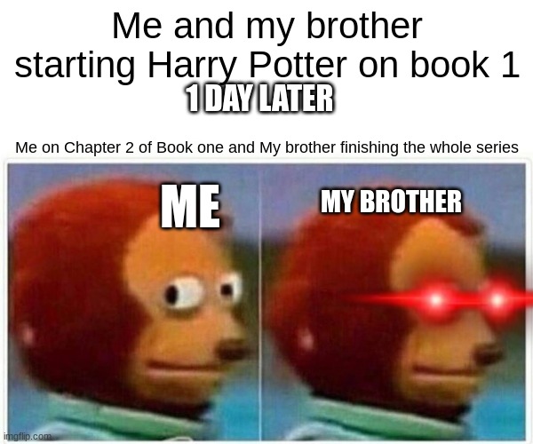 Monkey Puppet Meme | Me and my brother starting Harry Potter on book 1; 1 DAY LATER; Me on Chapter 2 of Book one and My brother finishing the whole series; ME; MY BROTHER | image tagged in memes,monkey puppet | made w/ Imgflip meme maker