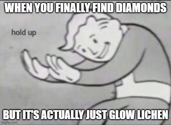 When you find diamonds in minecraft | WHEN YOU FINALLY FIND DIAMONDS; BUT IT'S ACTUALLY JUST GLOW LICHEN | image tagged in fallout hold up | made w/ Imgflip meme maker