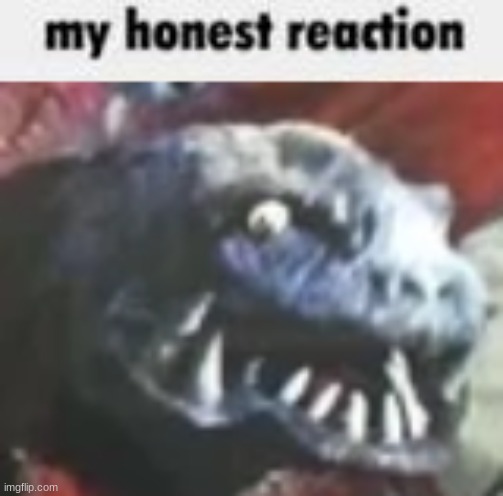 gabora's honest reaction | image tagged in gabora's honest reaction | made w/ Imgflip meme maker