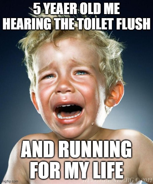 the sounds... | 5 YEAER OLD ME HEARING THE TOILET FLUSH; AND RUNNING FOR MY LIFE | image tagged in crying child | made w/ Imgflip meme maker
