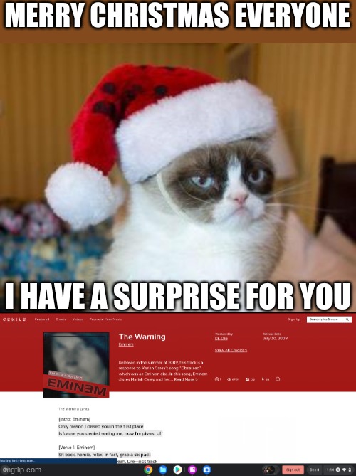 Early Christmas | MERRY CHRISTMAS EVERYONE; I HAVE A SURPRISE FOR YOU | image tagged in memes,grumpy cat christmas,cats,eminem,surprise,mariah carey | made w/ Imgflip meme maker