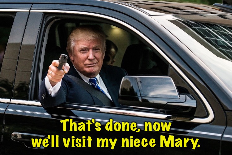 Trump Get In | That's done, now we'll visit my niece Mary. | image tagged in trump get in | made w/ Imgflip meme maker
