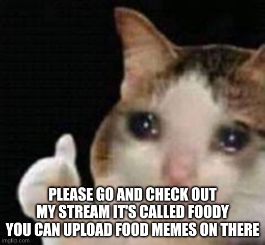It's not up begging if not begging for up votes  - GigaChad | PLEASE GO AND CHECK OUT MY STREAM IT'S CALLED FOODY YOU CAN UPLOAD FOOD MEMES ON THERE | image tagged in approved crying cat | made w/ Imgflip meme maker