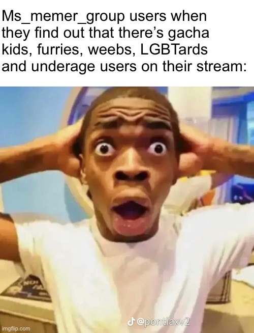 Shocked black guy | Ms_memer_group users when they find out that there’s gacha kids, furries, weebs, LGBTards and underage users on their stream: | image tagged in shocked black guy,memes | made w/ Imgflip meme maker