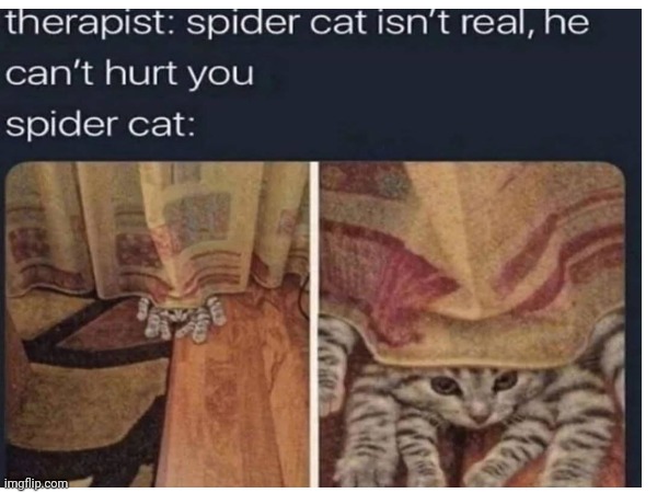Oh yes he can | image tagged in memes,lol,cat,oh no | made w/ Imgflip meme maker