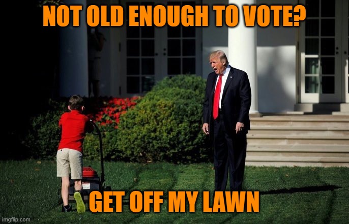 Trump Lawn Mower | NOT OLD ENOUGH TO VOTE? GET OFF MY LAWN | image tagged in trump lawn mower | made w/ Imgflip meme maker