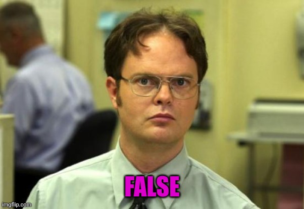 Dwight Schrute Meme | FALSE | image tagged in memes,dwight schrute | made w/ Imgflip meme maker