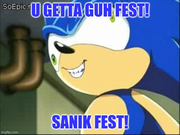 Getta Guh Fest | U GETTA GUH FEST! SANIK FEST! | image tagged in derp sonic | made w/ Imgflip meme maker