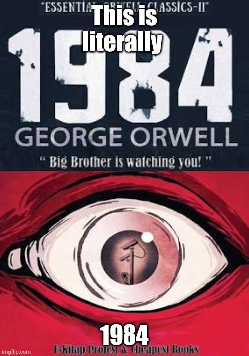This is literally; 1984 | image tagged in 1984 | made w/ Imgflip meme maker