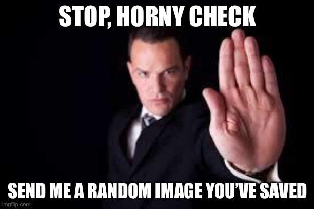 Stop hand | STOP, HORNY CHECK; SEND ME A RANDOM IMAGE YOU’VE SAVED | image tagged in stop hand | made w/ Imgflip meme maker