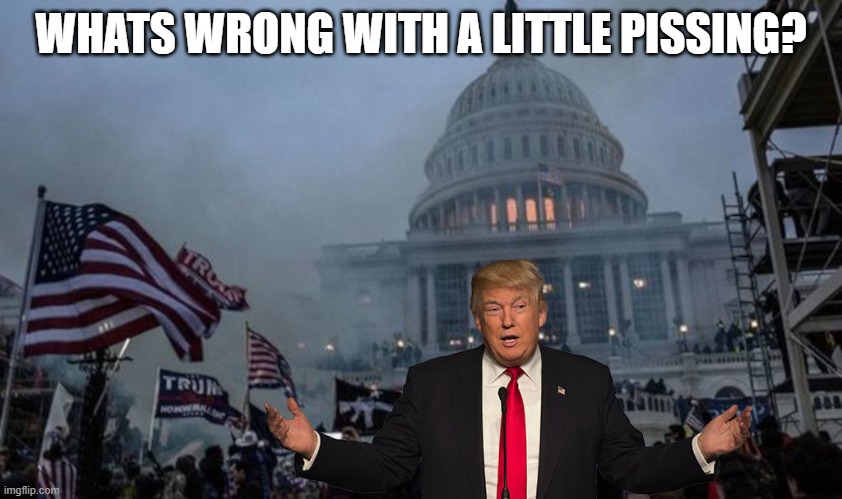 misconstrued coup | WHATS WRONG WITH A LITTLE PISSING? | image tagged in misconstrued coup | made w/ Imgflip meme maker