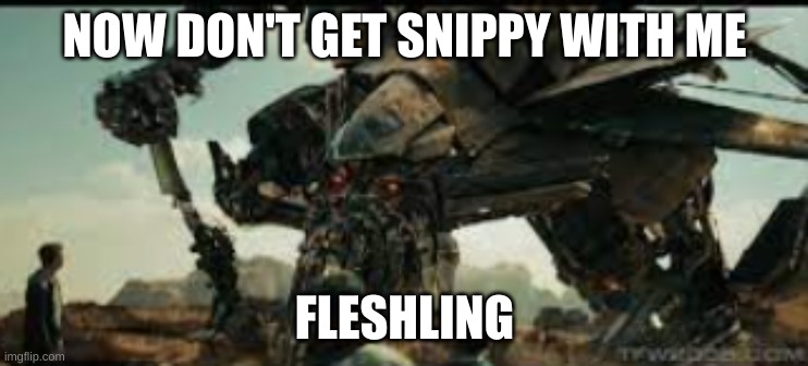 rotf jetfire | NOW DON'T GET SNIPPY WITH ME FLESHLING | image tagged in rotf jetfire | made w/ Imgflip meme maker