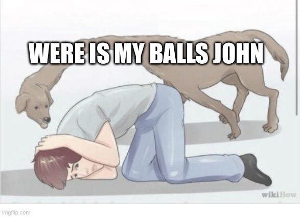 Long neck dog | WERE IS MY BALLS JOHN | image tagged in long neck dog | made w/ Imgflip meme maker
