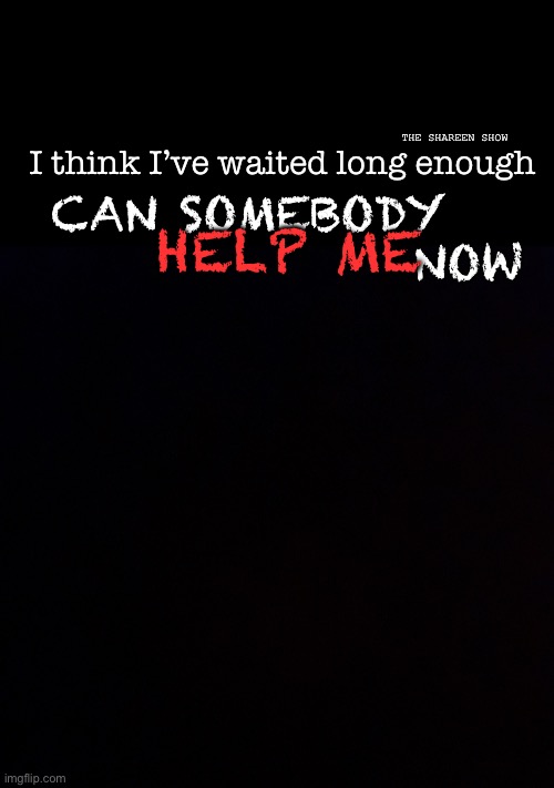 Help me | CAN SOMEBODY                     NOW; THE SHAREEN SHOW; I think I’ve waited long enough; HELP ME | image tagged in anxietyquote,helpmequote,helpquote,mentalhealthquote,abusequote | made w/ Imgflip meme maker