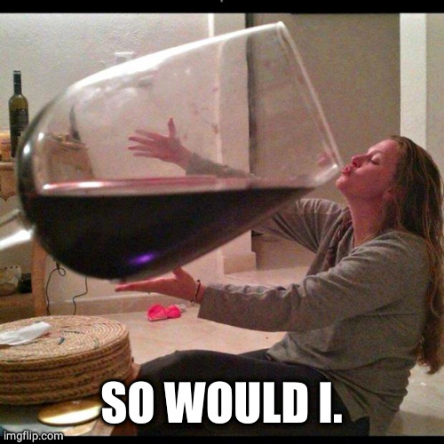 Wine Drinker | SO WOULD I. | image tagged in wine drinker | made w/ Imgflip meme maker