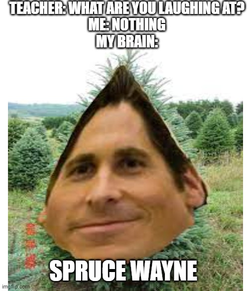 spruce is a tree lol | TEACHER: WHAT ARE YOU LAUGHING AT?
ME: NOTHING
MY BRAIN:; SPRUCE WAYNE | image tagged in memes,funny,bruce wayne | made w/ Imgflip meme maker
