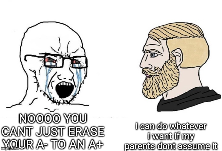Soyboy Vs Yes Chad | NOOOO YOU CANT JUST ERASE YOUR A- TO AN A+ i can do whatever i want if my parents dont assume it | image tagged in soyboy vs yes chad | made w/ Imgflip meme maker