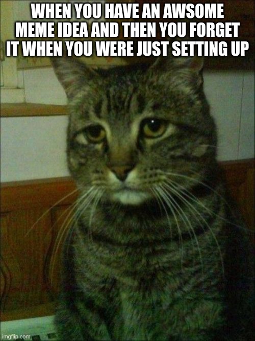 this happend just now | WHEN YOU HAVE AN AWSOME MEME IDEA AND THEN YOU FORGET IT WHEN YOU WERE JUST SETTING UP | image tagged in memes,depressed cat | made w/ Imgflip meme maker