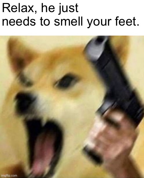 This ain't a dog | Relax, he just needs to smell your feet. | image tagged in angry doge with gun | made w/ Imgflip meme maker