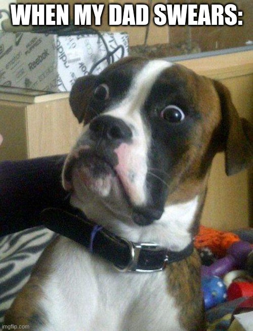 Blankie the Shocked Dog | WHEN MY DAD SWEARS: | image tagged in blankie the shocked dog | made w/ Imgflip meme maker