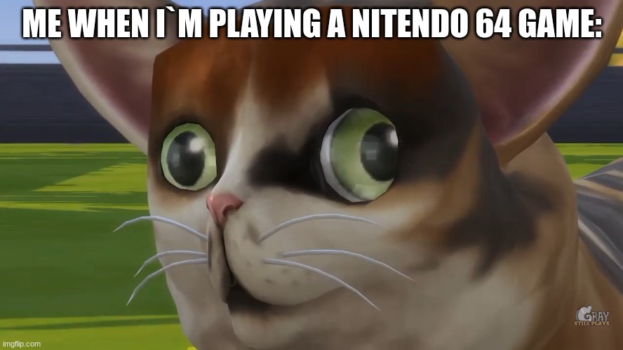 ... | ME WHEN I`M PLAYING A NITENDO 64 GAME: | image tagged in spleens the cat | made w/ Imgflip meme maker