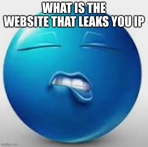 e | WHAT IS THE WEBSITE THAT LEAKS YOU IP | image tagged in blue guy sheesh | made w/ Imgflip meme maker