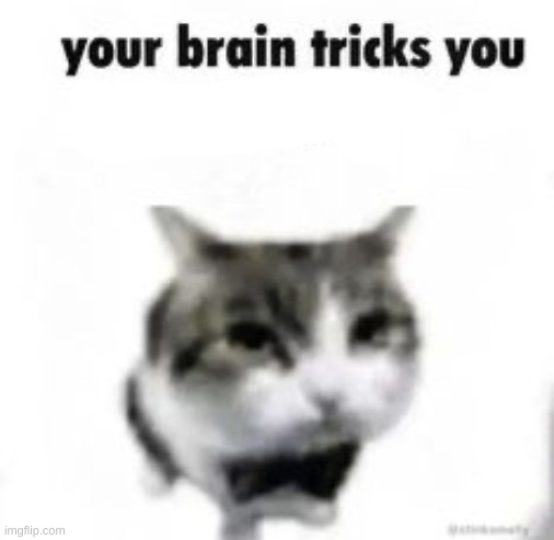 your brain tricks you | image tagged in your brain tricks you | made w/ Imgflip meme maker