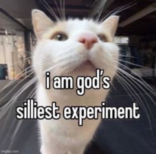 i am gods silliest experiment | image tagged in i am gods silliest experiment | made w/ Imgflip meme maker