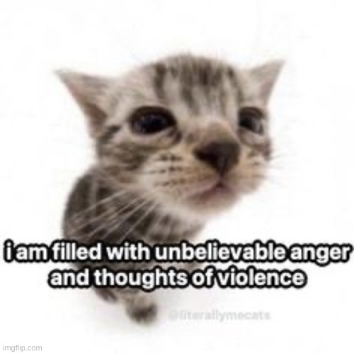 i am filled with anger | image tagged in i am filled with anger | made w/ Imgflip meme maker