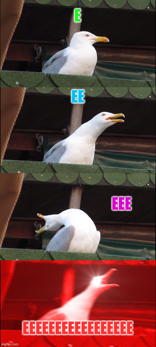 Inhaling Seagull Meme | E; EE; EEE; EEEEEEEEEEEEEEEEE | image tagged in memes,inhaling seagull | made w/ Imgflip meme maker