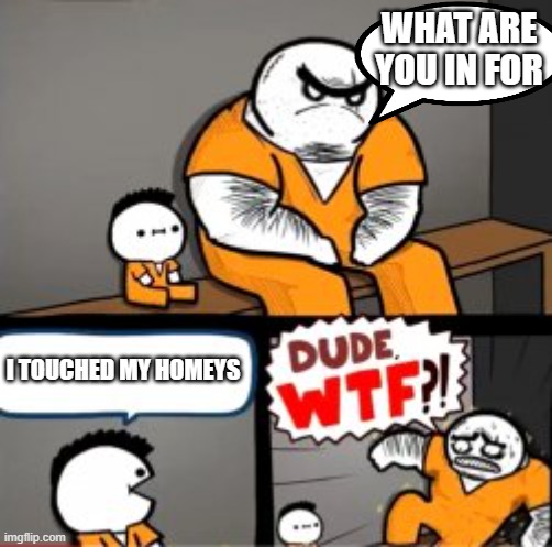 wtf | WHAT ARE YOU IN FOR; I TOUCHED MY HOMEYS | image tagged in what are you in here for | made w/ Imgflip meme maker