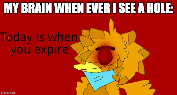MY BRAIN WHEN EVER I SEE A HOLE: | image tagged in sol wants you to expire and rot | made w/ Imgflip meme maker