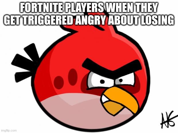 ... | FORTNITE PLAYERS WHEN THEY GET TRIGGERED ANGRY ABOUT LOSING | image tagged in angry bird | made w/ Imgflip meme maker