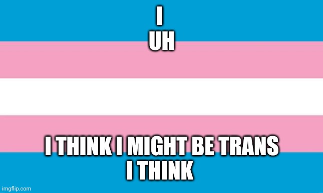 Transgender Flag | I 
UH; I THINK I MIGHT BE TRANS
I THINK | image tagged in transgender flag | made w/ Imgflip meme maker