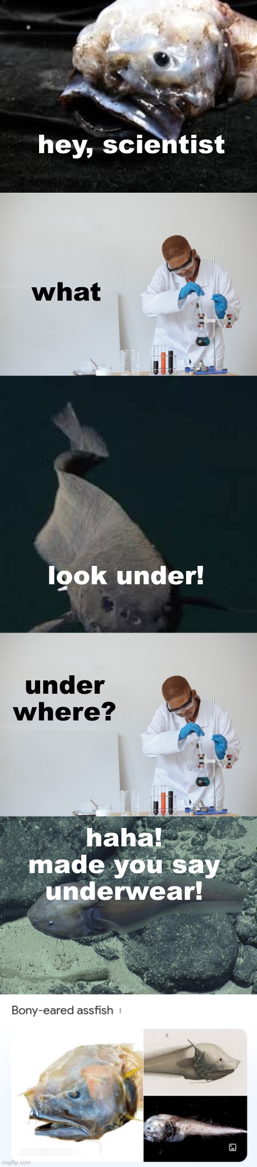 hey, scientist; what; look under! under where? haha! made you say underwear! | made w/ Imgflip meme maker