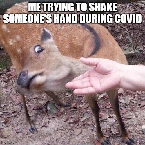 nope | ME TRYING TO SHAKE SOMEONE'S HAND DURING COVID | image tagged in nope | made w/ Imgflip meme maker