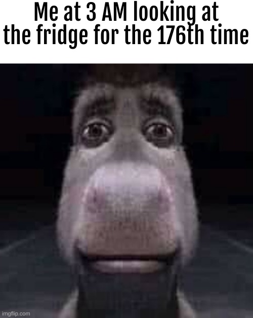 yes | Me at 3 AM looking at the fridge for the 176th time | image tagged in donkey staring | made w/ Imgflip meme maker