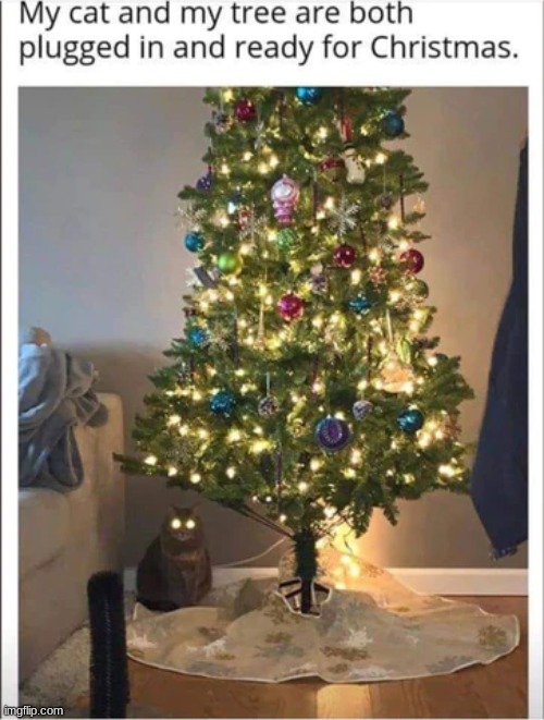 MeOw | made w/ Imgflip meme maker