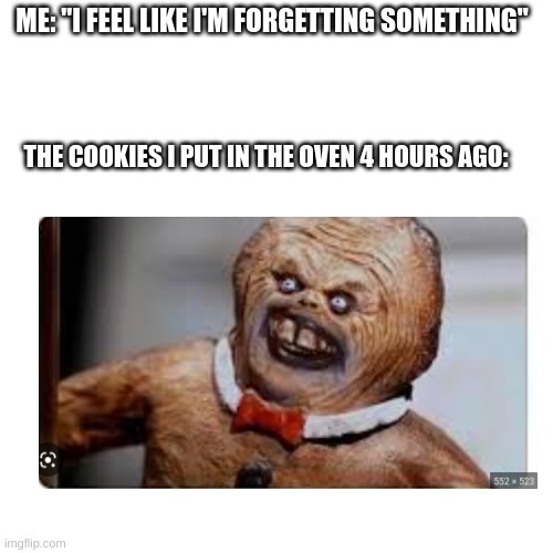 Burnt Cookies | ME: "I FEEL LIKE I'M FORGETTING SOMETHING"; THE COOKIES I PUT IN THE OVEN 4 HOURS AGO: | image tagged in funny | made w/ Imgflip meme maker