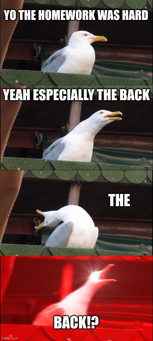 end of unit assessment today shiiiii- | YO THE HOMEWORK WAS HARD; YEAH ESPECIALLY THE BACK; THE; BACK!? | image tagged in memes,inhaling seagull | made w/ Imgflip meme maker