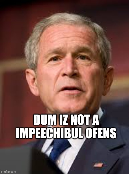 bush jr | DUM IZ NOT A IMPEECHIBUL OFENS | image tagged in bush jr | made w/ Imgflip meme maker