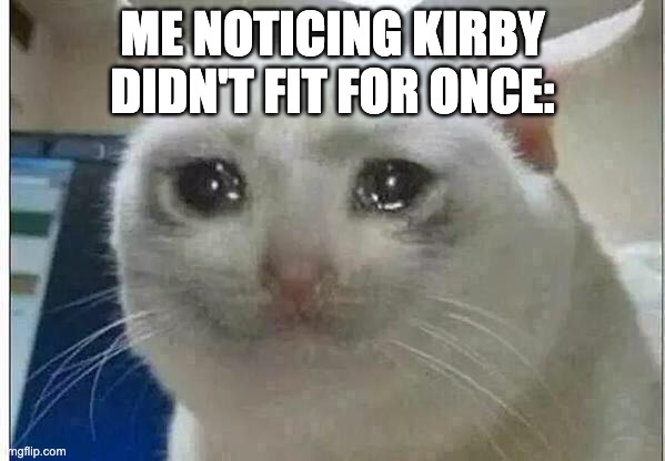 crying cat | ME NOTICING KIRBY DIDN'T FIT FOR ONCE: | image tagged in crying cat | made w/ Imgflip meme maker