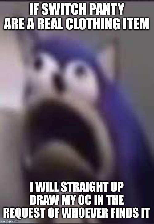 Like whoever finds the real clothing item | IF SWITCH PANTY ARE A REAL CLOTHING ITEM; I WILL STRAIGHT UP DRAW MY OC IN THE REQUEST OF WHOEVER FINDS IT | made w/ Imgflip meme maker