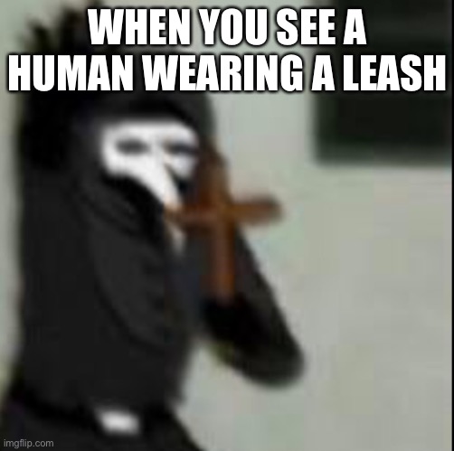 Plague Doctor with cross | WHEN YOU SEE A HUMAN WEARING A LEASH | image tagged in plague doctor with cross | made w/ Imgflip meme maker