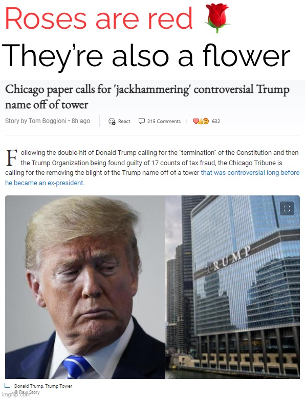 Based Chicago Newspaper | Roses are red 🌹; They’re also a flower | image tagged in trump tower jackhammer,chicago,trump,trump organization,donald trump,trump is an asshole | made w/ Imgflip meme maker