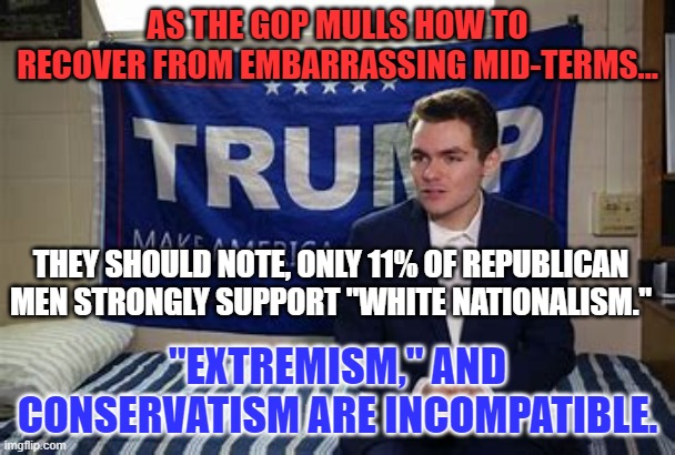 It's time for them to make a choice between losing some votes or their compass. | AS THE GOP MULLS HOW TO RECOVER FROM EMBARRASSING MID-TERMS... THEY SHOULD NOTE, ONLY 11% OF REPUBLICAN MEN STRONGLY SUPPORT "WHITE NATIONALISM."; "EXTREMISM," AND CONSERVATISM ARE INCOMPATIBLE. | image tagged in politics | made w/ Imgflip meme maker