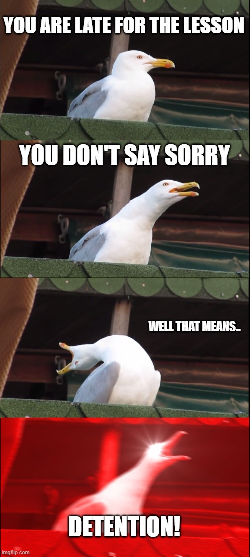 The school in a nutshell | YOU ARE LATE FOR THE LESSON; YOU DON'T SAY SORRY; WELL THAT MEANS.. DETENTION! | image tagged in memes,inhaling seagull | made w/ Imgflip meme maker