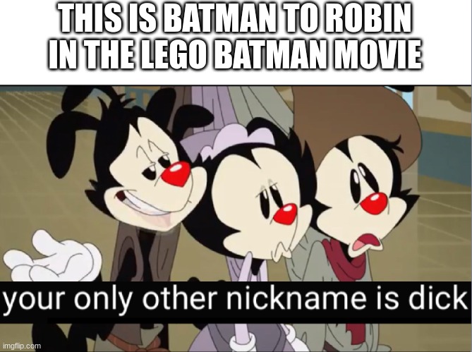 Animeniacs | THIS IS BATMAN TO ROBIN IN THE LEGO BATMAN MOVIE | image tagged in animeniacs | made w/ Imgflip meme maker
