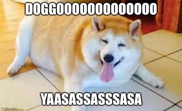 Thicc Doggo | DOGGOOOOOOOOOOOOO YAASASSASSSASA | image tagged in thicc doggo | made w/ Imgflip meme maker